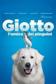 Giotto, l’amico dei pinguini