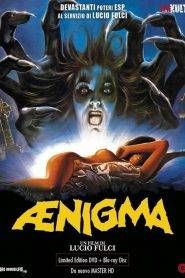 Aenigma