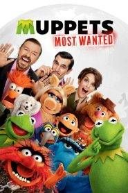 Muppets 2 – Ricercati