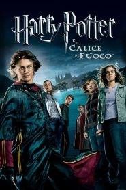 Harry Potter e il calice di fuoco