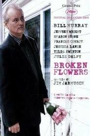 Broken Flowers