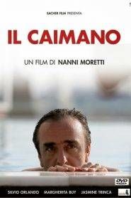 Il caimano