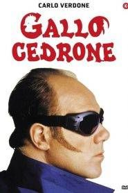 Gallo cedrone