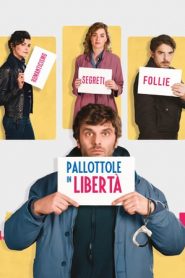 Pallottole in libertà