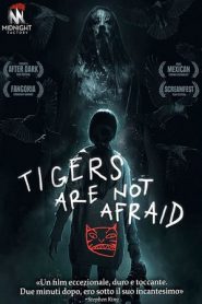 Tigers Are Not Afraid