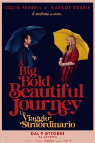 A Big Bold Beautiful Journey – Un viaggio straordinario
