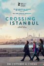 Crossing Istanbul