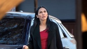 The Cleaning Lady 4 x 5