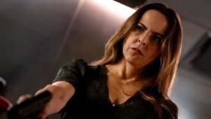 The Cleaning Lady 4 x 7